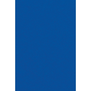 https://old.lemma.lv/12148-thickbox/tumsi-zils-papira-galdauts-ar-reljefu-dizainu-un-paltikatu-apsuvumu-137-x-274-cm.jpg