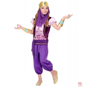 https://old.lemma.lv/12730-thickbox/arabijas-princeses-kostims-bluze-ar-vesti-biksem-jostiu-rokasspradzem-un-galvassega-ar-plivuru-128-cm-5-7-gadi.jpg