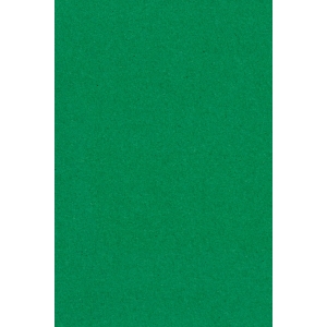 https://old.lemma.lv/13022-thickbox/galdauts-festivals-zala-gramata-137-x-274-cm.jpg