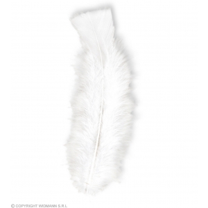 https://old.lemma.lv/7116-14242-thickbox/50-feathers-white-abt-10-cm.jpg