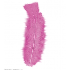 https://old.lemma.lv/7118-14244-thickbox/50-feathers-pink-abt-10-cm.jpg