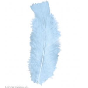 https://old.lemma.lv/7119-14245-thickbox/50-feathers-turquoise-abt-10-cm.jpg