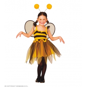 https://old.lemma.lv/7156-14484-thickbox/bee-dress-wings-antennas-110-cm.jpg