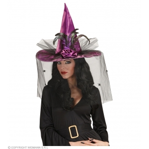 https://old.lemma.lv/7190-15803-thickbox/witch-hat-with-tulle-flower-feathers.jpg
