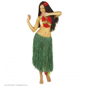 https://old.lemma.lv/7200-14324-thickbox/green-raffia-hula-skirt-78cm.jpg