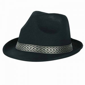 https://old.lemma.lv/7210-14288-thickbox/fedora-cepure-panama-melna.jpg