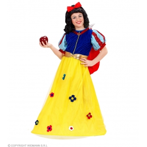 https://old.lemma.lv/7430-14854-thickbox/-pasaku-princese-meitenes-terps-kleita-apmetnis-josta-116-cm-128-cm.jpg
