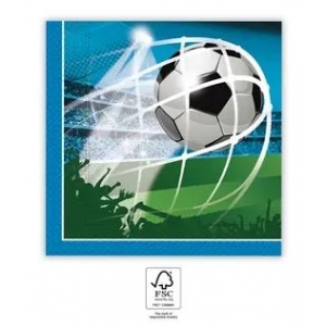 https://old.lemma.lv/7741-15479-thickbox/salvetes-futbols-33x33-cm-20-gab.jpg