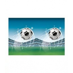 https://old.lemma.lv/7742-15480-thickbox/galdauts-futbols-120x180-cm-plastikata.jpg