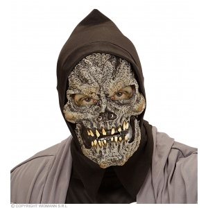 https://old.lemma.lv/7806-15543-thickbox/witch-half-face-foam-latex-mask-with-hair-for-children.jpg