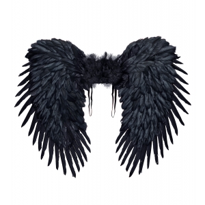https://old.lemma.lv/7807-15974-thickbox/black-feathered-wings-80x60-cm.jpg