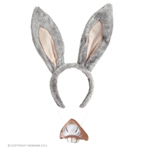 https://old.lemma.lv/7910-15650-thickbox/donkey-sets-ears-mouth.jpg