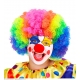 "CLOWN WIG" in polybag
