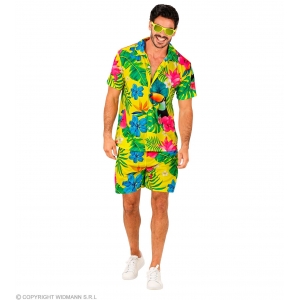 https://old.lemma.lv/8264-16582-thickbox/havaiesu-ballisu-komplekts-krekls-sorti-l-xl.jpg