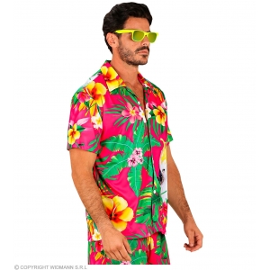 https://old.lemma.lv/8266-16570-thickbox/havaiesu-ballisu-krekls-l-xl.jpg