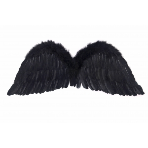 https://old.lemma.lv/8381-16877-thickbox/angel-s-wings-black-75-x-30cm.jpg