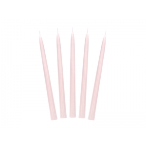 https://old.lemma.lv/8403-16915-thickbox/taper-candle-matt-dusty-rose-24cm-1pkt-10pc.jpg