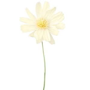 https://old.lemma.lv/8423-16990-thickbox/white-paper-flower-with-stem-cm-35x85.jpg