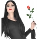 Sarkanā roze, 44 cm 
