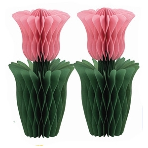 https://old.lemma.lv/8621-17557-thickbox/papira-dekori-tulpes-2-gab-15-cm.jpg