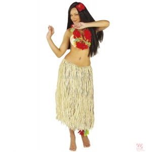 https://old.lemma.lv/9956-thickbox/havaju-komplekts-palmu-lapu-svarki-78-cm.jpg